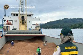 Karantina Sulut nyatakan aman untuk produk ekspor bungkil kopra ke Vietnam