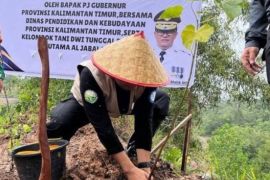 Pj Gubernur Kaltim tanam pohon  di lahan kritis bekas tambang