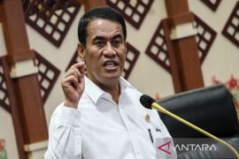 Mentan usulkan tambahan anggaran 2025 untuk cetak sawah 1 juta hektare