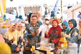 Pemkab HST wakili Kalsel pada lomba masak serba ikan tingkat nasional