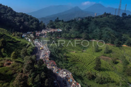 Penertiban tahap dua lapak PKL dan bangunan liar di Puncak Bogor Page 1 Small