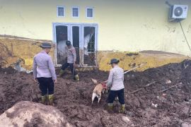 Polda Malut kerahkan anjing pelacak cari korban longsor di Ternate