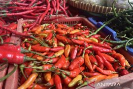 Cabai keriting naik Rp6.680 jadi Rp49.390 per kg