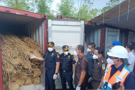 Bea Cukai Kalbagbar menggagalkan ekspor ilegal Rotan senilai Rp2,6 miliar