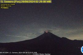Gunung Semeru kembali erupsi dengan letusan hingga 300 meter
