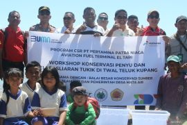 PT Pertamina Patra Niaga gelar Workshop Konservasi Penyu Page 1 Small