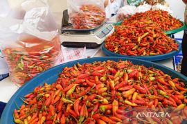 Pemkab Kukar tekan inflasi melalui lima kunci dan 4K