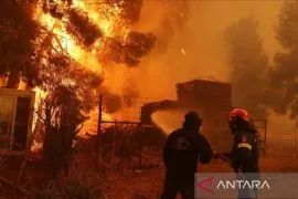 Belasan pemadam terluka saat tangani kebakaran hutan di Yunani