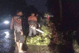 Hujan disertai angin kencang akibatkan sejumlah rumah rusak di Labura