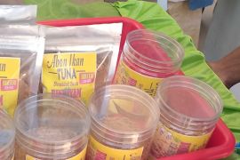 Warga Biak Numfor terbantu pelayanan BTS Bakti Kemenkominfo