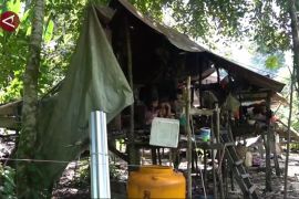 Mengenal suku Punan Batu Benau, suku Dayak tertua di pulau Kalimantan - Video