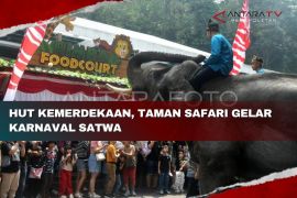 HUT Kemerdekaan, Taman Safari gelar karnaval satwa