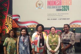 Parlemen Indonesia bangun kolaborasi setara dengan Afrika