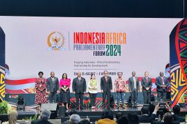 Ketua DPR Puan Maharani serukan Parlemen RI dan Afrika lebih keras suarakan aspirasi