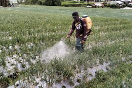 Pemkab Tanah Datar ungkap strategi jangka panjang kendalikan inflasi