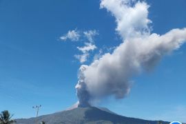 Tektonik lokal pengaruhi tinggi letusan Gunung Lewotobi