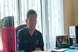 BPS: Kemiskinan di Kulon Progo turun 0,02 persen poin