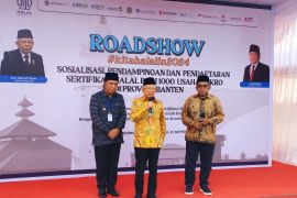 Pope Francis visit to promote humanity, solidarity: VP Amin