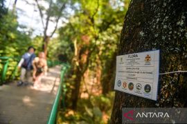 Hutan Kota Babakan Siliwangi Bandung