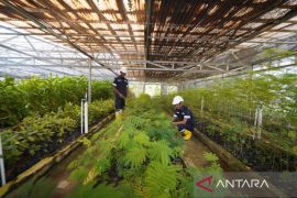 Menata Lahan Bekas Tambang dengan Konsisten Melakukan Reklamasi