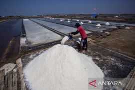 Target swasembada garam nasional