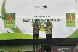 Palm oil sector value may touch Rp775 trillion: industry minister