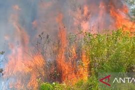 Damkar Bangka ingatkan masyarakat untuk cegah kebakaran di kawasan wisata