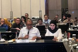 Begini Rencana Detail Tata Ruang perkotaan Tanjung Pura, bupati sebut ini