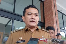 Pemkab Majalengka menyediakan 200 ribu bibit pisang lokal untuk petani