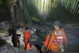 Tim SAR selamatkan pemuda terjebak arus deras sungai di Banyumas