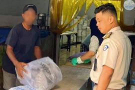 Kantor Karantina Papua Tengah periksa 30 ton ikan bawal tujuan Jakarta