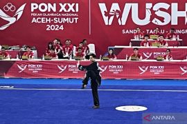 Wushu - Nicholas raih medali emas perdana untuk tuan rumah