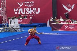 Harris Horatius tampil solid sabet emas wushu nomor  nanquan putra