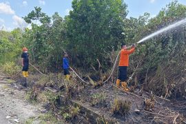 BPBD Penajam minta warga tak buka lahan dengan membakar saat kemarau