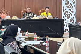 Sekda Batola dukung rencana penataan Kota Marabahan