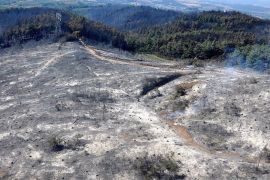 Pemukim ilegal Israel hancurkan sumur air Palestina di Tepi Barat