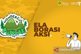 Pemkab Bogor gelar rangkaian "Wonderful Puncak" hingga akhir tahun 2024