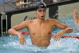 Pelatnas renang didominasi atlet muda untuk persiapan jangka panjang