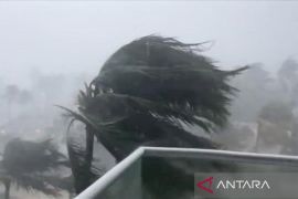 Lebih dari 100.000 orang terluka akibat topan Kajiki di Hainan, China