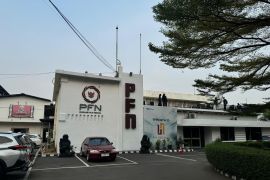 Kementerian BUMN: Pengangkatan Ifan Seventeen untuk kembangkan PFN