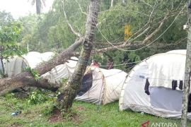 Satu orang meninggal akibat pohon tumbang di perkemahan relawan PMI