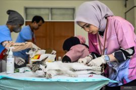 Dinkes  DKI sebut tak semua pasien kasus rabies perlu diberi vaksin