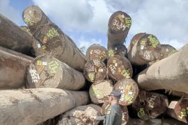 BKHIT Maluku pastikan kayu meranti asal Buru Selatan siap dikirim ke Sumut