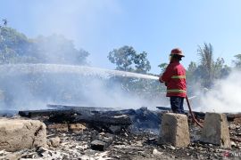 Kerugian akibat kebakaran peternakan ayam di Cijambe Cigangsa capai ratusan juta rupiah