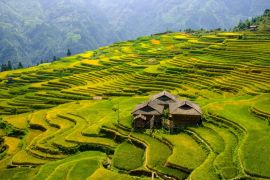 Indonesia sends 13 village heads for benchmarking study to China