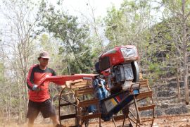 Pemkab Gunungkidul antisipasi gagal panen jelang musim kemarau panjang