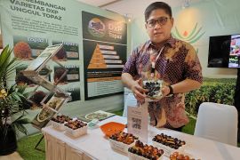 IPOSC 2024 di Kalbar wadah merumuskan kebijakan pembangunan kelapa sawit