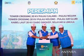 PLN resmi operasikan 8 tower crossing di Kepri, Warga : Sekarang anak-anak bisa belajar di malam hari