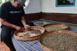 Industri rumahan pengolahan kopi di Madiun