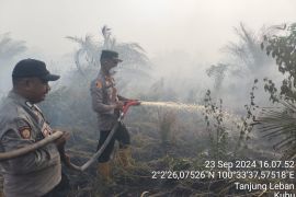 25 hektare lahan di Kubu Rohil terbakar